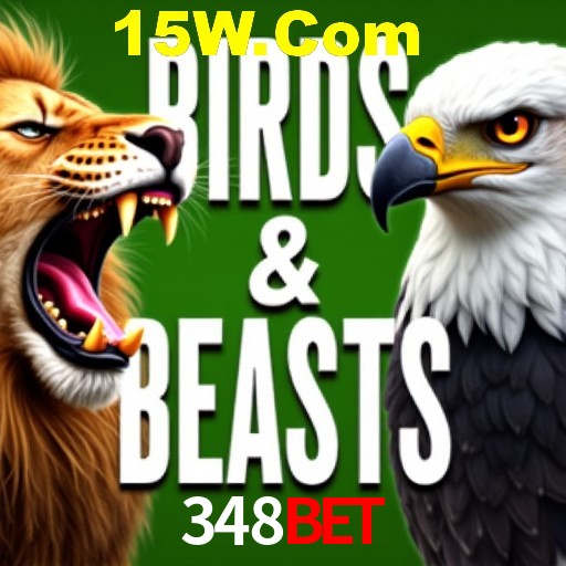 Apostas Esportivas na 348bet: Um Guia Completo